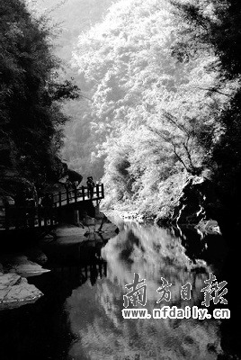 點擊瀏覽下一頁